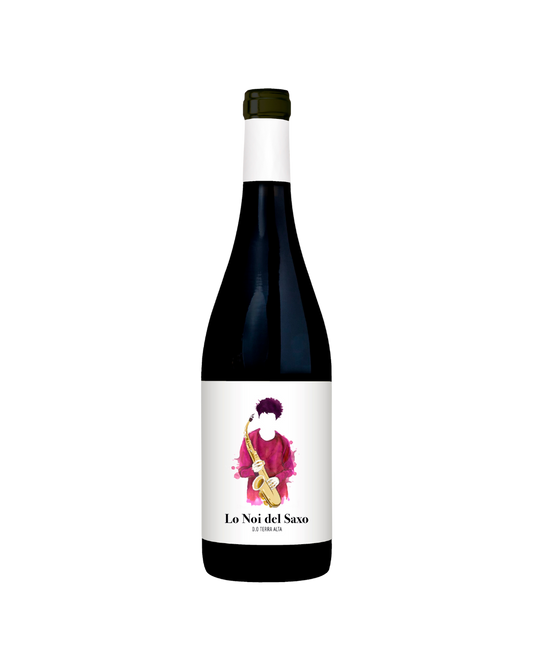 Botella de vino tinto Lo Noi del Saxo Negre 2023 de la bodega Bielsa Ruano