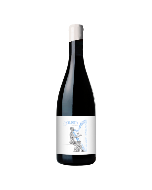 Solista Morenillo Negra 2023