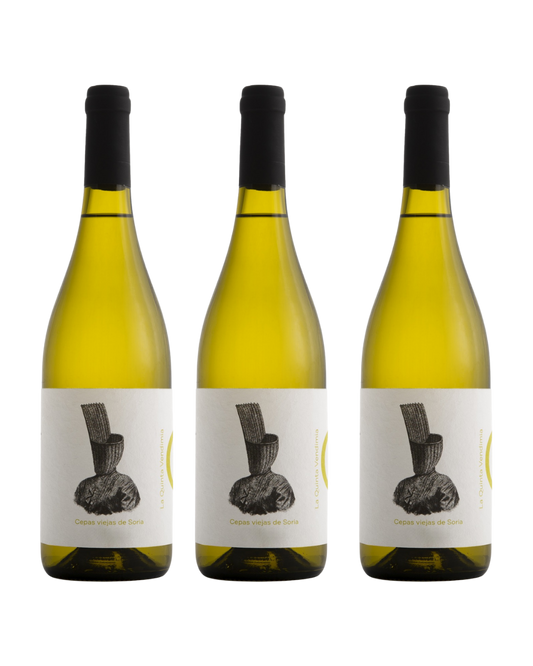 Blanco Albillo 2023 (x3)