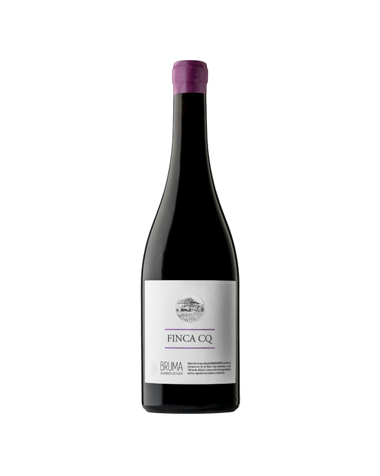 Botella de vino tinto Bruma del Estrecho de Marín / Finca CQ 2023 de la bodega Viña Elena